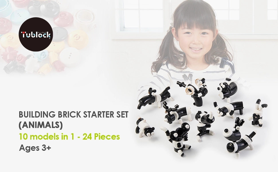 Starter Set Building Brick | Building Brick toy 