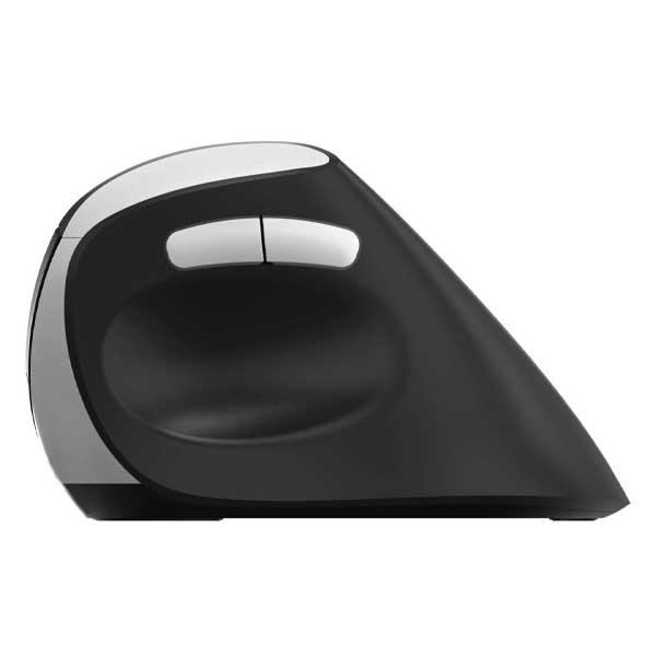 Rapoo EV250 Wireless Ergonomic Mouse - 13531