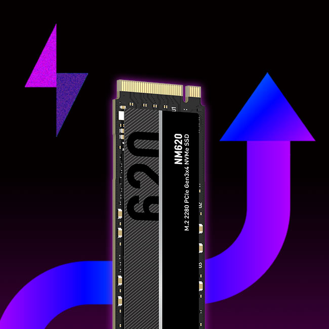 Lexar 256GB | M.2 NVMe Solid state drive | PLUGnPOINT