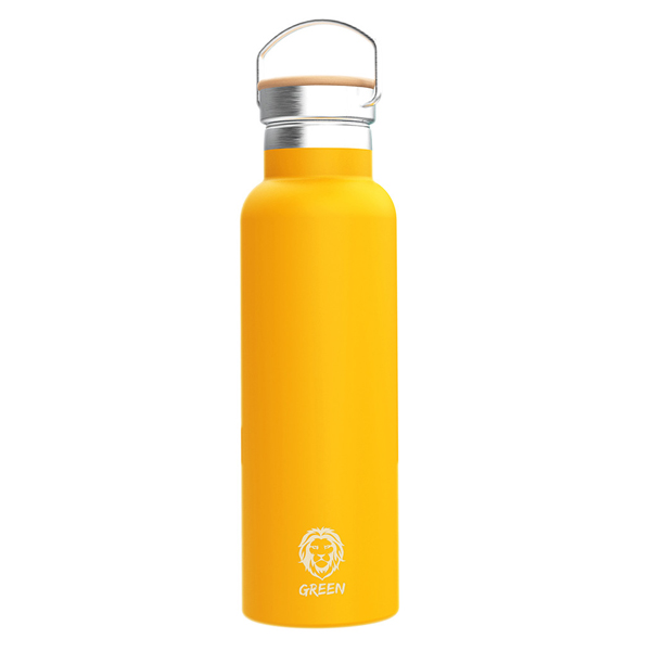 Vacuum Flask Stainless Steel Water Bottle 600ml | PLUGnPOINT