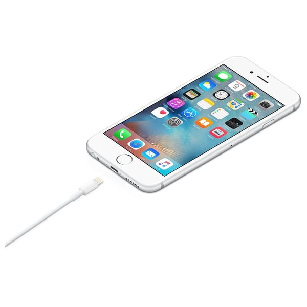 Apple Lightning To USB Cable 2m | MD819 | PLUGnPOINT