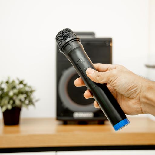 Krypton Rechargeable Portable Speaker 8 inch - KNMS6073