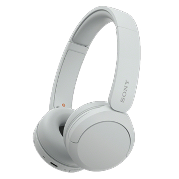 Sony Wireless Headphones with Microphone - WH-CH520W